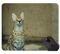 YENDOSTEEN Gaming Mouse Pad Custom, Beast of Prey Cat Family Leopard Mouse Pads