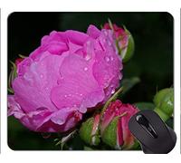 YENDOSTEEN Gaming Mouse Pad Custom, Bud Pink Rose Rose Flower - Bordes cosidos