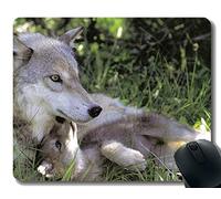 YENDOSTEEN Gaming Mouse Pad Custom, Cub Animal Cute Love Wolf Home Office Accesorios de computadora Alfombrillas