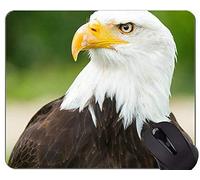 YENDOSTEEN Gaming Mouse Pad Custom, Eagle Rectangular Themes Alfombrilla de ratón con Borde Cosido