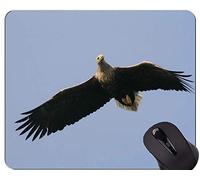 YENDOSTEEN Gaming Mouse Pad Custom, Eagle Spread Wings Themes Alfombrilla de ratón con Borde Cosido