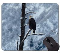 YENDOSTEEN Gaming Mouse Pad Custom, Eagle Spread Wings Themes Alfombrilla de ratón con Borde Cosido