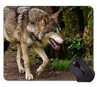 YENDOSTEEN Gaming Mouse Pad Custom, Fantasy Wolf In A Dark Winter Forest Alfombrillas De Raton