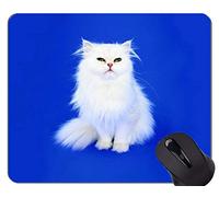 YENDOSTEEN Gaming Mouse Pad Custom, Green Eyes Persian Cat Animal Cat White Home Office Accesorios de Ordenador Alfombrillas