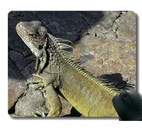 YENDOSTEEN Gaming Mouse Pad Custom, Happy Ecuador Antideslizante de Goma con Base Mousepad