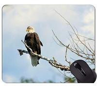 YENDOSTEEN Gaming Mouse Pad Custom, Hawk Eagle Bird Mountain Temas Mouse Pad con Borde Cosido