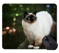 YENDOSTEEN Gaming Mouse Pad Custom, Himalayan Cat Animal Desenfocado Gato Hogar Oficina Accesorios de computadora Alfombrillas