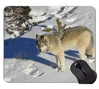 YENDOSTEEN Gaming Mouse Pad Custom, Imagen de Dangerous Arctic Wolf Mouse Pads