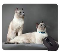 YENDOSTEEN Gaming Mouse Pad Custom, Pareja Siamés Gato Animal Gato Azul Oficina en casa Accesorios de computadora Alfombrillas