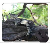 YENDOSTEEN Gaming Mouse Pad Custom, Relax Sleeping Branches Cats Home Office Accesorios de computadora Alfombrillas