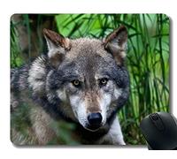 YENDOSTEEN Gaming Mouse Pad Custom, Wildlife Animal defocused Wolf Face para computadora Antideslizante de Goma Mouse Pad
