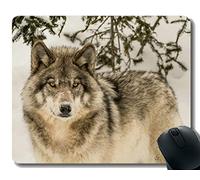 YENDOSTEEN Gaming Mouse Pad Custom, Wildlife Predator Invierno Animal Lobo Bosque Antideslizante Gaming Mouse Pad