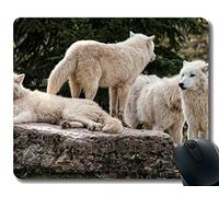 YENDOSTEEN Gaming Mouse Pad Custom, Wildlife Predator Wolf Accesorios de Ordenador de Oficina en casa Alfombrillas