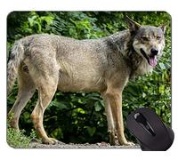 YENDOSTEEN Gaming Mouse Pad Custom, Wolf Animal Wildlife Office Mouse Pad