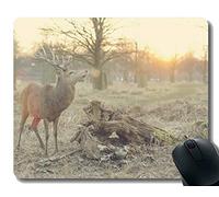 YENDOSTEEN Gaming Mouse Pad Design, Stag Deer Nature Animal - Stitched Edges