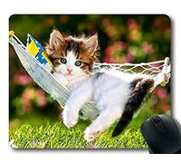 YENDOSTEEN Gaming Mouse Pad, Hammock Kitten Animal Cute Cat Grass Mouse Pad, Alfombrilla para computadora cat093