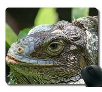 YENDOSTEEN Gaming Mouse Pad, Happy Dinosaur Lizard Mouse Pads