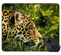 YENDOSTEEN Gaming Mouse Pad, Jaguar Cat Family Leopard Mouse Pads