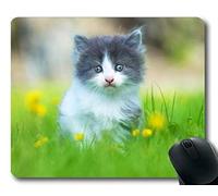 YENDOSTEEN Gaming Mouse Pad, Kitten Animal Cute Cat Grass Mouse Pad, Alfombrilla para computadora cat129