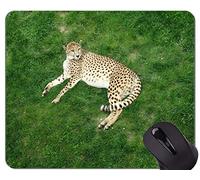 YENDOSTEEN Gaming Mouse Pad, Leopard Cat Family Leopard Mouse Pads