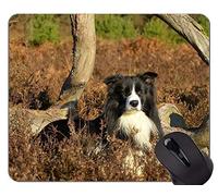 YENDOSTEEN Gaming Mouse Pad Retrato de un Perro Pastor Australiano, Border Collie Rubber Mouse Pad