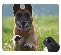 YENDOSTEEN Gaming Mouse Pad Retrato de un Perro Pastor Australiano, Malinois Goma Mouse Pad