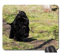 YENDOSTEEN Gaming Mouse Pads, Alfombrilla de ratón, Cocker Spaniel Inglés Cocker Spaniel Coker Spaniel