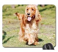YENDOSTEEN Gaming Mouse Pads, Alfombrilla de ratón, Cocker Spaniel Inglés Cocker Spaniel Coker Spaniel 2
