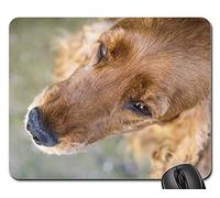YENDOSTEEN Gaming Mouse Pads, Alfombrilla de ratón, Coker Spaniel English Gold Rudy Red Animal