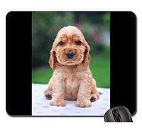 YENDOSTEEN Gaming Mouse Pads, Alfombrilla de ratón, Coker Spaniel Inglés Puppy Cocker Spaniel Doggy