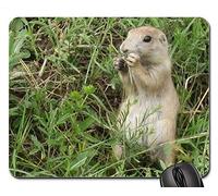 YENDOSTEEN Gaming Mouse Pads, Alfombrilla de ratón, Prairie Dog Wildlife Nature Wilderness Small Wild
