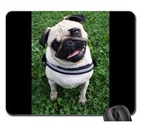 YENDOSTEEN Gaming Mouse Pads, Alfombrilla de ratón, Pug Dog Pet Cute Black Purebred Dog Lap Dog Face