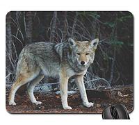 YENDOSTEEN Gaming Mouse Pads, Alfombrilla de ratón, Wolf Animal Wildlife Mammal Predator Creature