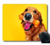 YENDOSTEEN Gaming Mousepads, Alaska Malamute Dog Perro y Gato, Costura de precisión, Alfombrilla de ratón Duradera