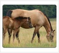 YENDOSTEEN Horse Stallion Cub Walk Food Almohadillas para Mouse de Hierba Personalizadas y Hechas a Pedido Soporte ReadyHoja amigable con Goma de Neopreno Mouse Pad