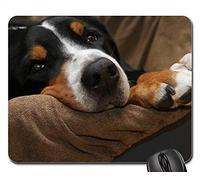 YENDOSTEEN Juego Alfombrillas de ratón, Alfombrilla de ratón, Schweizer Sennenhund Dog Mountain Dog Paws Hunger