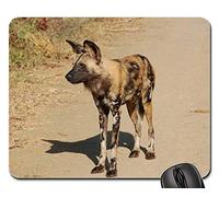 YENDOSTEEN Juego Alfombrillas de ratón, Alfombrilla de ratón, Sudáfrica Wild Nature Wildlife Animals Wild Dog
