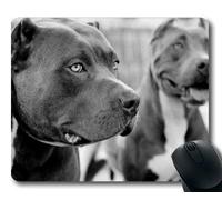 YENDOSTEEN Juego de Alfombrillas, ha Sido Divertido Perro y Gato Manchado, Costura de precisión, Alfombrilla de ratón Duradera