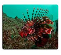 YENDOSTEEN Juego de cojín de ratón Juego de cojín de ratón Estera del ratón de Caucho Natural Lionfish Conjunto de Material de Caucho Natural M0A09596