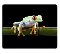 YENDOSTEEN Juego de Goma Natural Mousepad Red Eyed Tree Frog (Mouse Pad/Gaming Mouse Pad)