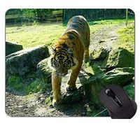YENDOSTEEN Jungle Tigers Cub Mouse Pad, Predator Rubber Mouse Mouse Pad