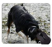 YENDOSTEEN Lindo Cachorro de Perro acostado en el Suelo Alfombrilla de ratón, Border Collie Alfombrilla de ratón cómoda para Juegos y Oficina
