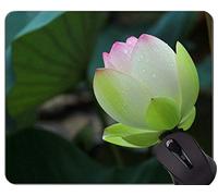 YENDOSTEEN Lotus Pond Mouse Pad Antideslizante - Bloom Office Mouse Pad
