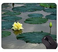 YENDOSTEEN Love Lotus Deja el cojín de ratón de Goma Antideslizante del Juego Floral - Flores de Loto Alfombrillas de ratón del Juego del rectángulo Personalizado