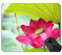 YENDOSTEEN Love Lotus Deja el cojín de ratón de Goma Antideslizante del Juego Floral - la Base de Goma Antideslizante de Lotus Mousepad