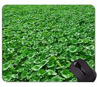 YENDOSTEEN Love Lotus Deja el cojín de ratón de Goma Antideslizante del Juego Floral - la Base de Goma Antideslizante de Lotus Mousepad