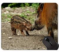 YENDOSTEEN Lovely Pig Anti Slip Comfort Gaming Mouse Pad, Brush Ear Pig Cómoda Alfombrilla de ratón para Juegos y Oficina - (Pig)