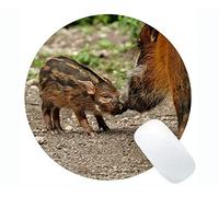 YENDOSTEEN Lovely Pig Anti Slip Comfort Gaming Round Mouse Pad, Brush Ear Pig Cómodo Mouse Mat para Juegos y oficinas - (Pig)