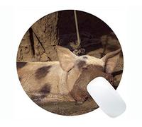 YENDOSTEEN Lovely Pig Anti Slip Comfort Gaming Round Mouse Pad, Suerte Divertido Cute Piggy Gaming Round Mouse Pad