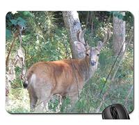 YENDOSTEEN Mirar ATRÁS Alfombrilla de ratón, Mousepad (Alfombrilla de ratón Deer)